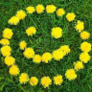 Meet your Posher, Rhonda